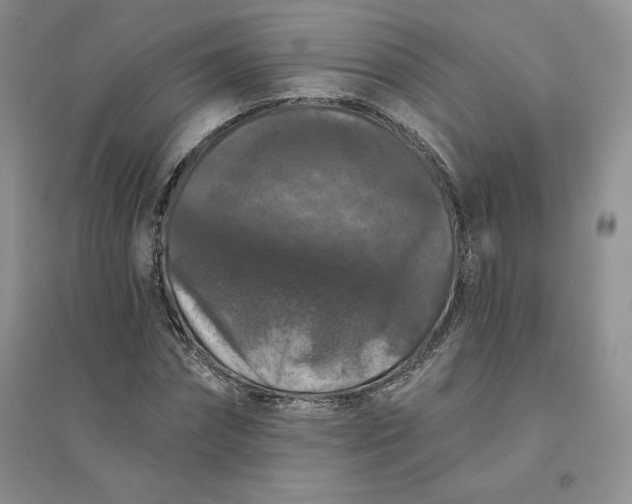 X0000096410874200802071652