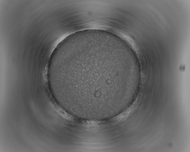X0000096410875200802071652