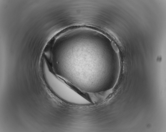 X0000096410876200802071652