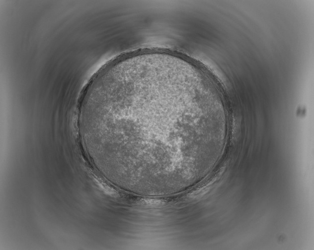 X0000096410878200802071652