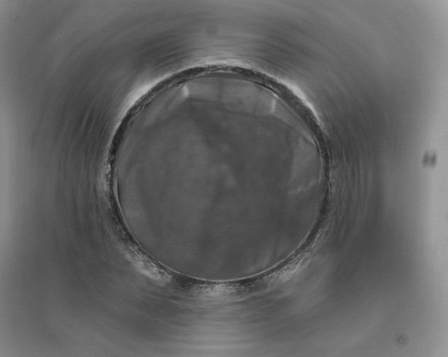 X0000096410879200802071652