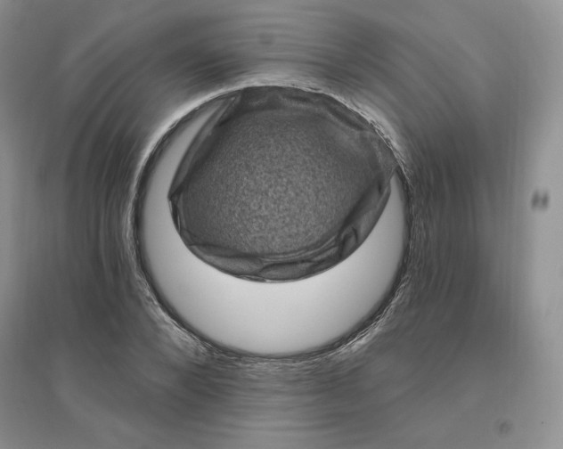 X0000096410880200802071652