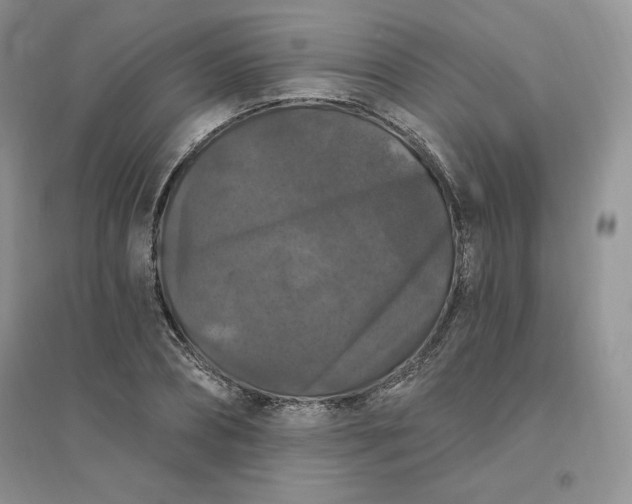 X0000096410882200802071652