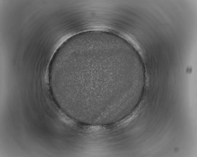 X0000096410883200802071652