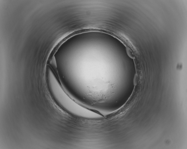 X0000096410884200802071652