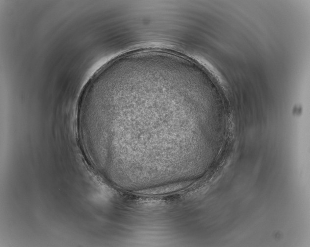 X0000096410886200802071652