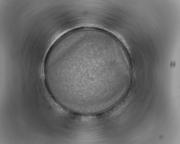 X0000096410887200802071652