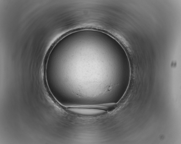 X0000096410888200802071652