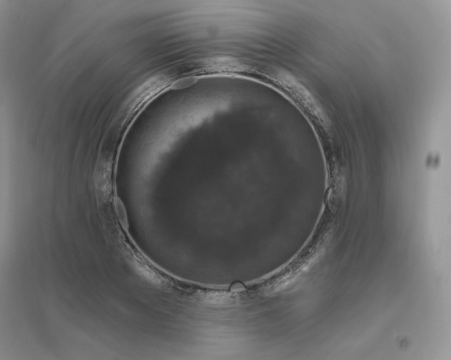 X0000096410889200802071652