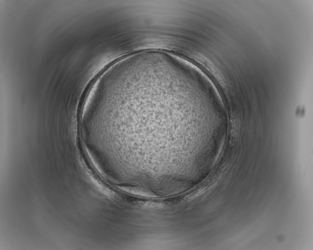 X0000096410890200802071652