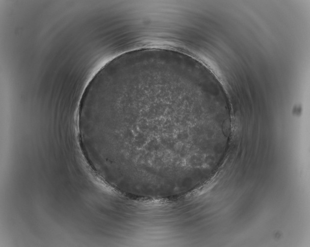 X0000096410891200802071652