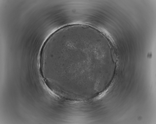 X0000096410892200802071652