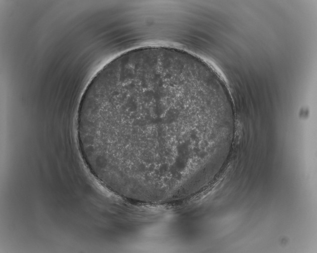 X0000096410895200802071652