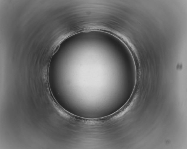 X0000096410897200802071652