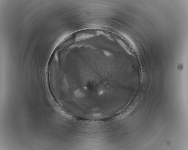X0000096410899200802071652