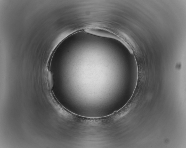 X0000096410900200802071652