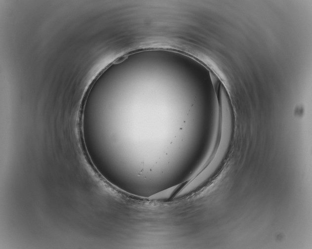 X0000096410901200802071652