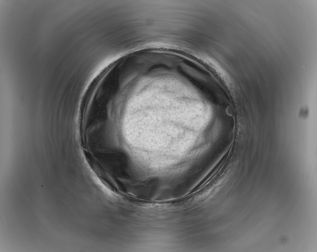 X0000096410902200802071652