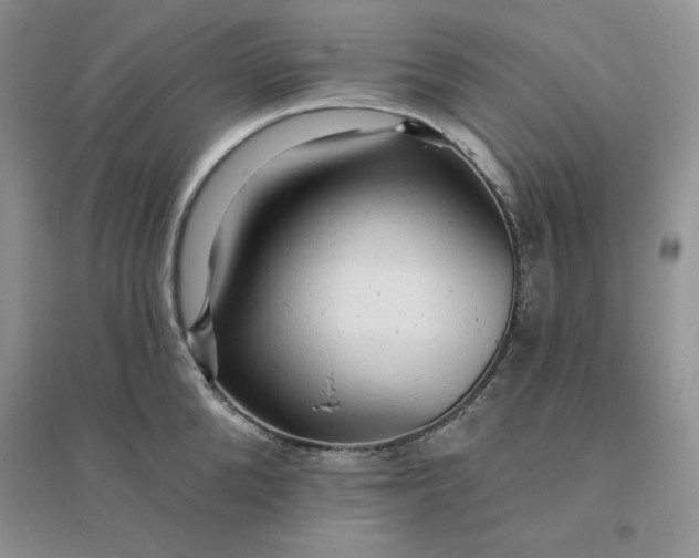 X0000096410904200802071652