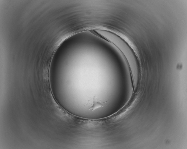 X0000096410905200802071652