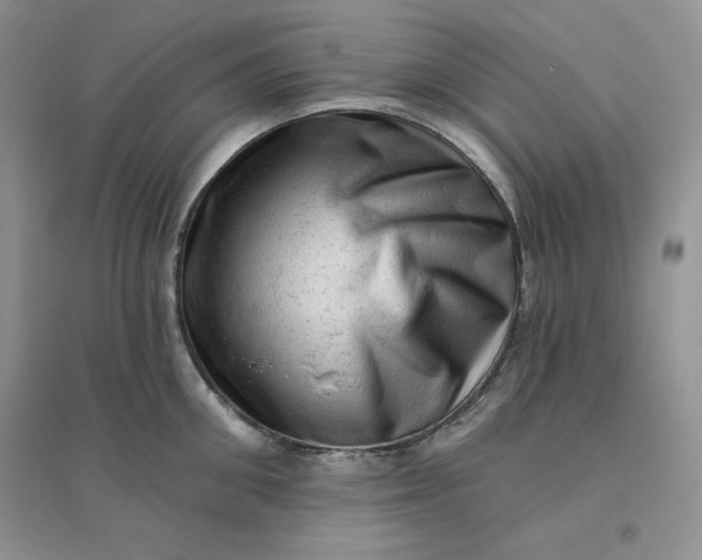 X0000096410906200802071652