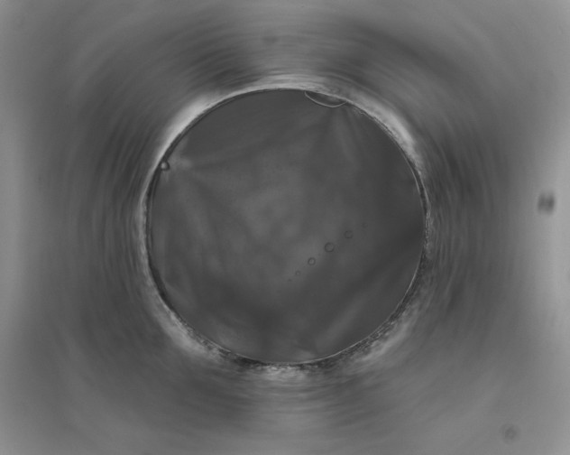 X0000096410907200802071652