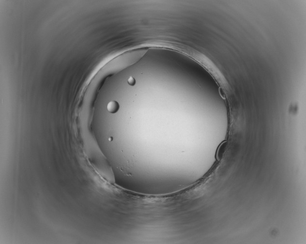 X0000096410908200802071652