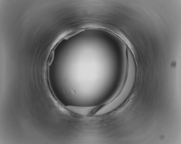 X0000096410909200802071652