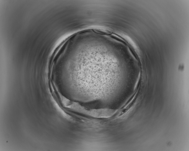 X0000096410910200802071652
