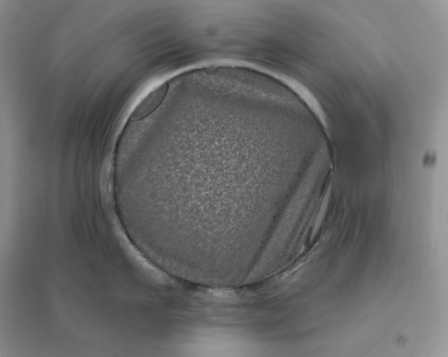 X0000096410911200802071652