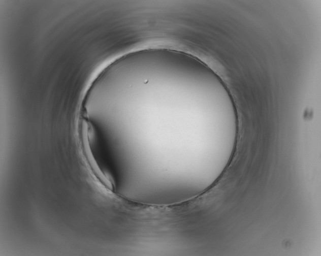 X0000096410912200802071652