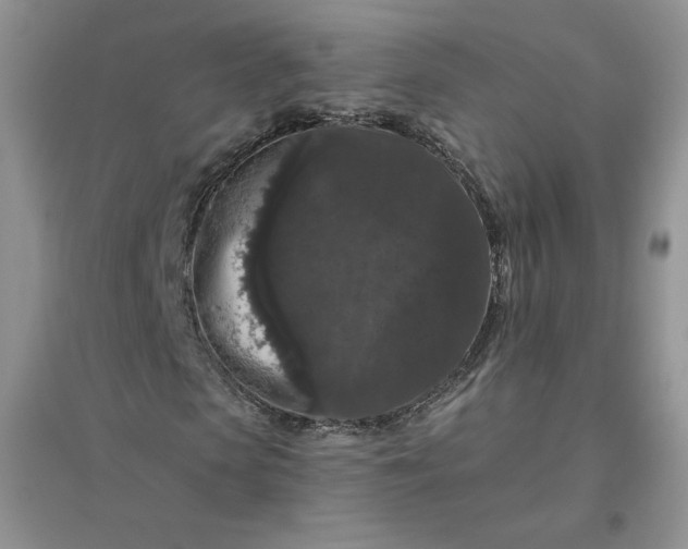 X0000096410913200802071651