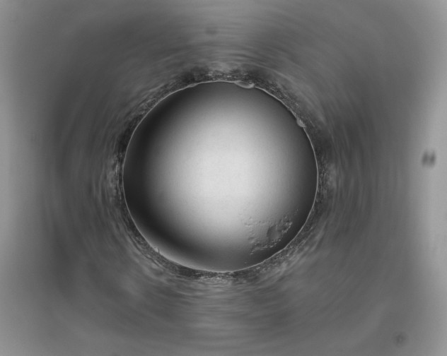 X0000096410914200802071651