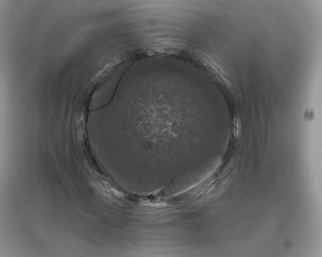 X0000096410915200802071651
