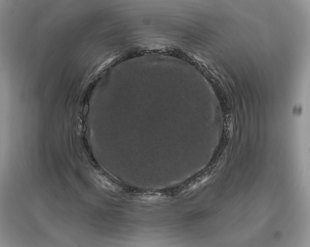 X0000096410916200802071651