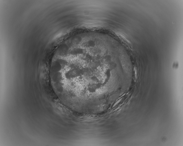 X0000096410917200802071651