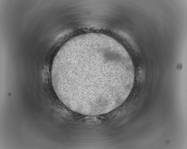 X0000096410918200802071651