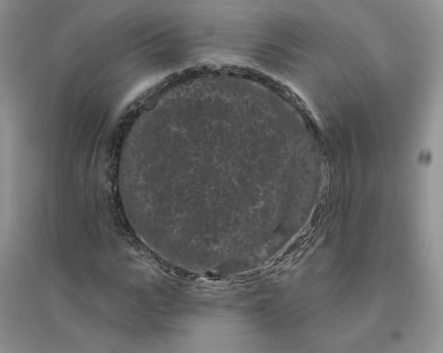 X0000096410919200802071651