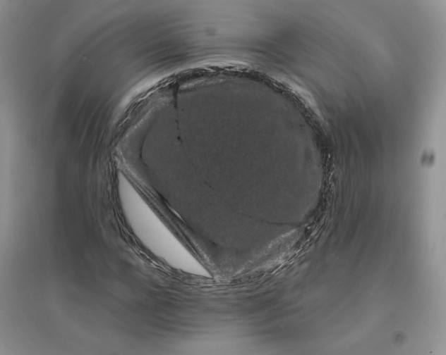X0000096410920200802071651