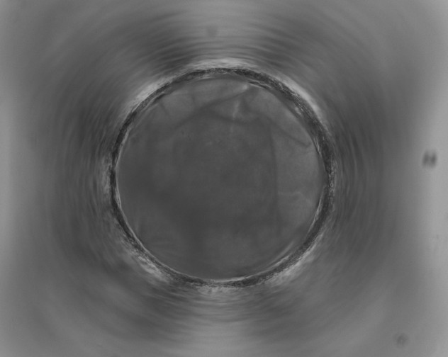 X0000096410921200802071651