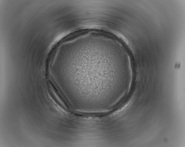 X0000096410922200802071651