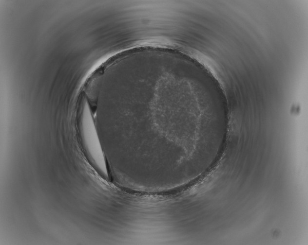 X0000096410923200802071651