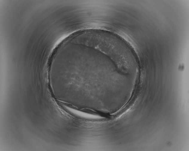 X0000096410925200802071651