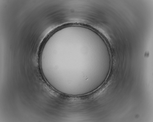X0000096410927200802071651