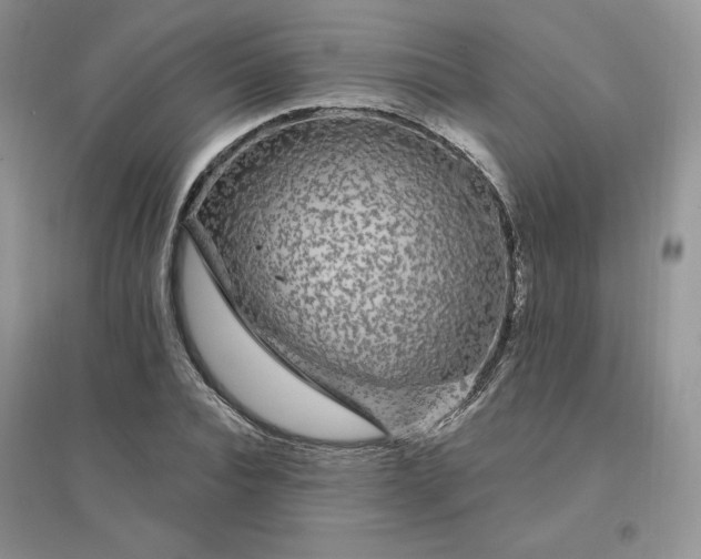 X0000096410928200802071651