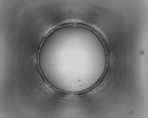 X0000096410929200802071651