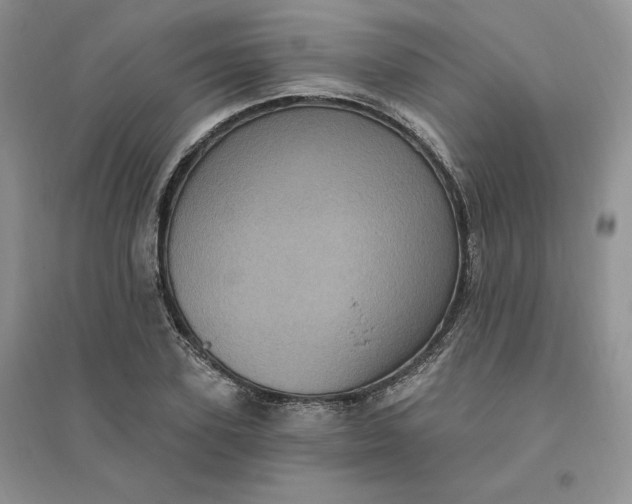 X0000096410931200802071651
