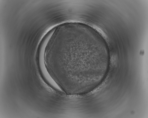 X0000096410934200802071651
