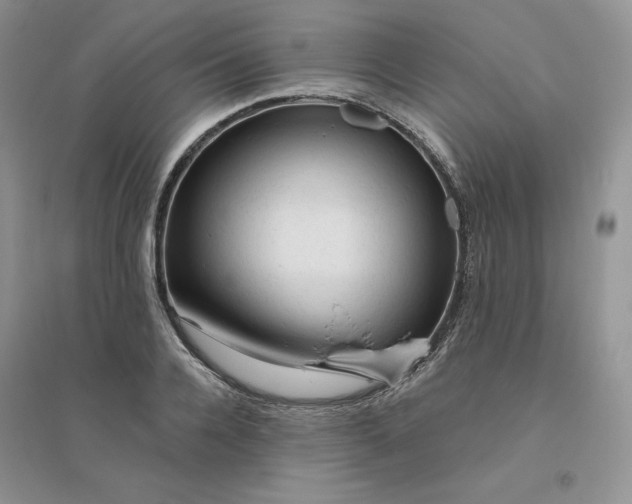 X0000096410936200802071651