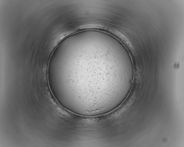 X0000096410937200802071651